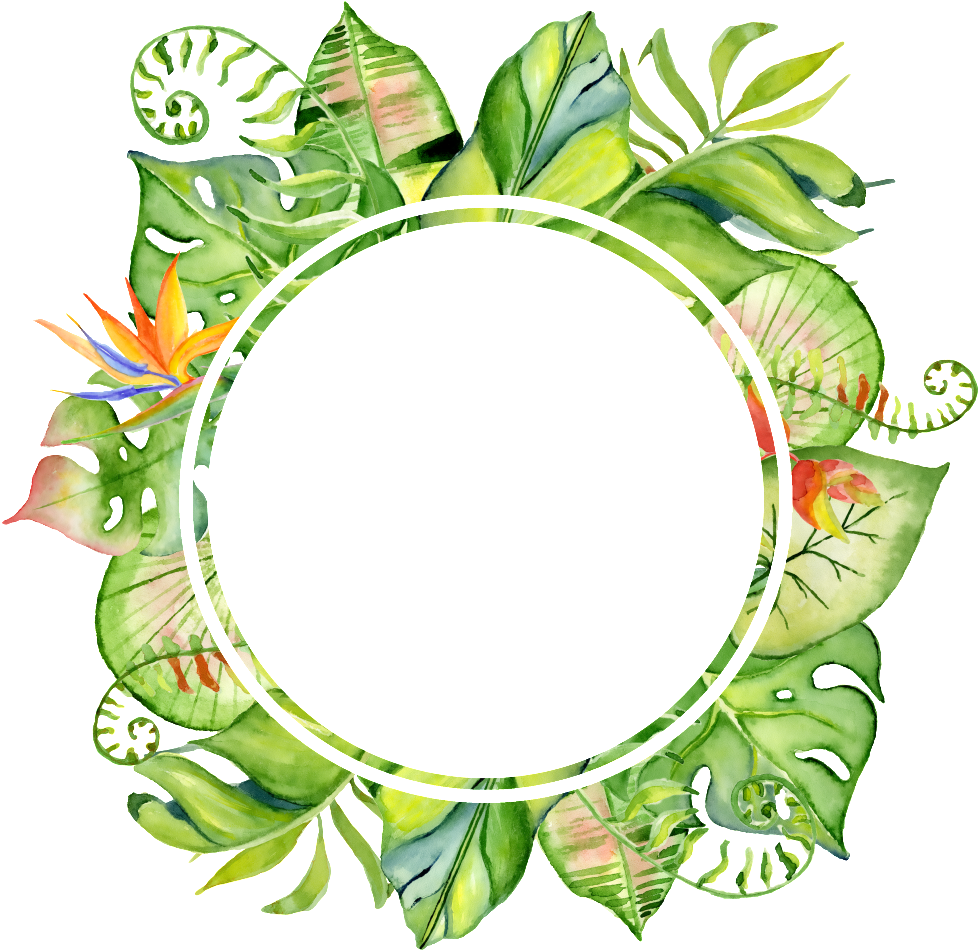 Tropical Leaves Certificate Border PNG