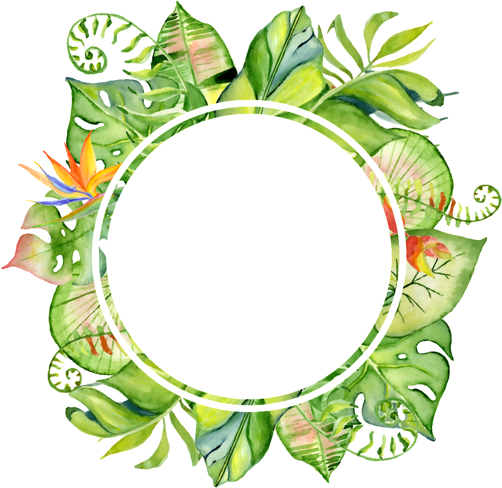 Tropical circle. Тропические листья акварель рамка. Тропическая рамка. Рамка листья. Цветы по кругу.