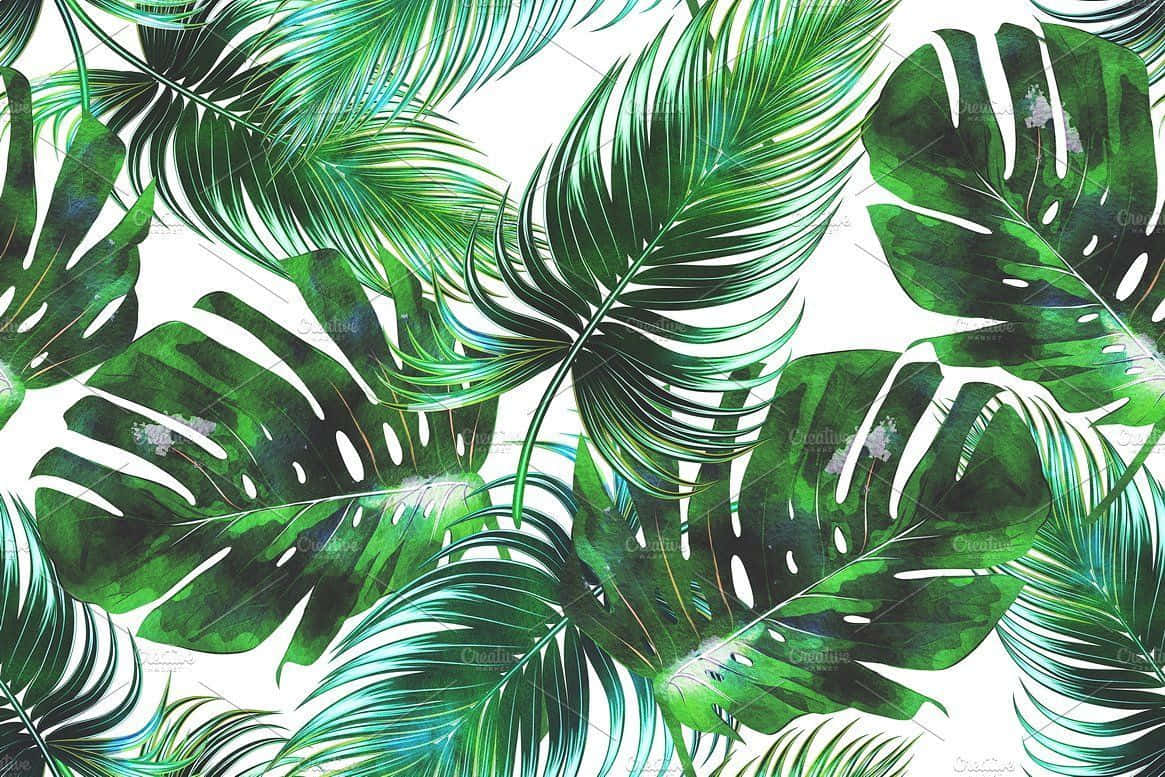 "Beauty of Nature in a Tropical Leaf Desktop Wallpaper" Wallpaper