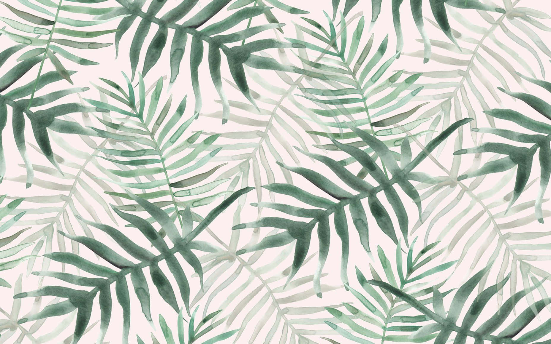 Enjoy the beauty of exotic tropical leaves from your own desktop. Wallpaper