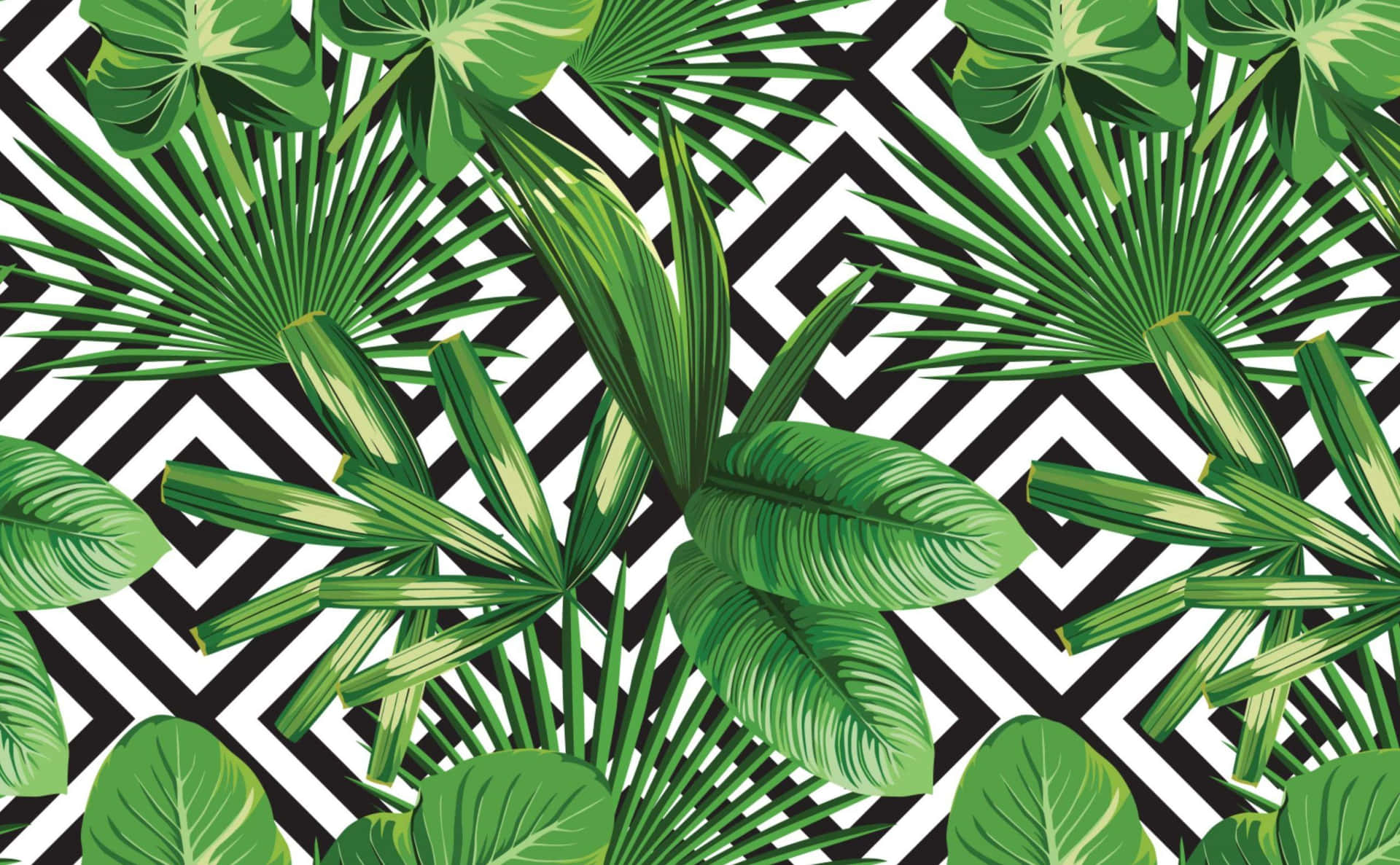 Nyplukkede tropiske blade Wallpaper