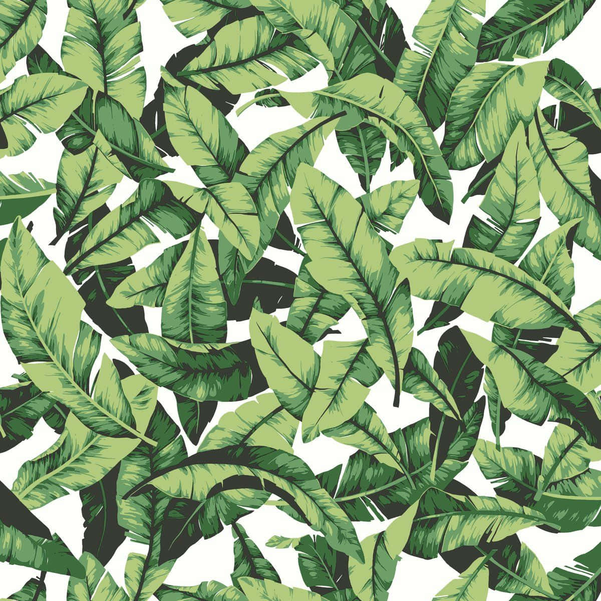 A Green And Black Pattern Of Leaves Wallpaper