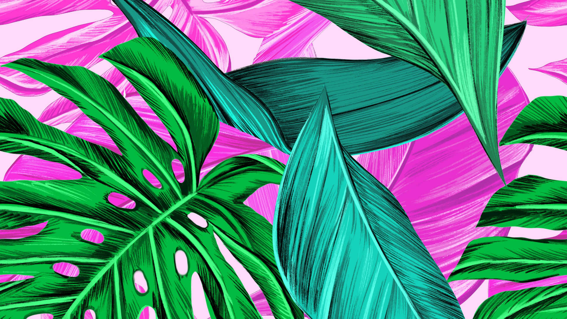 Vibrant Tropical Leaves Seem to Grace the Desktop of an Eager and Inspired Vacationer Wallpaper