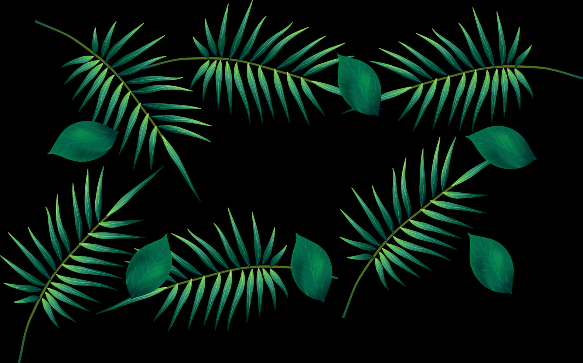 Tropical Leaveson Black Background PNG