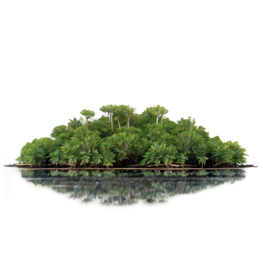 Download Tropical Mangrove Ecosystem Png 06112024 | Wallpapers.com