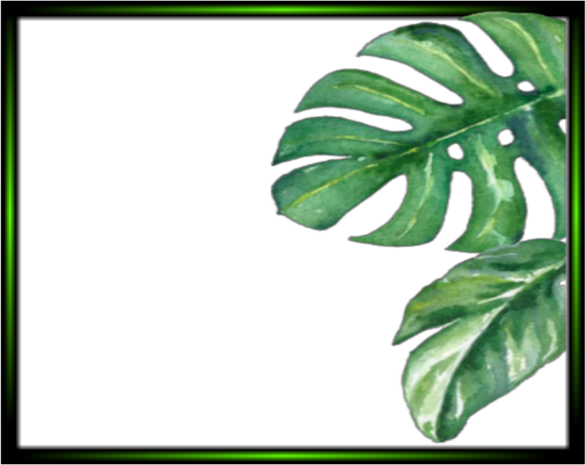 Download Tropical Monstera Leaves Frame 