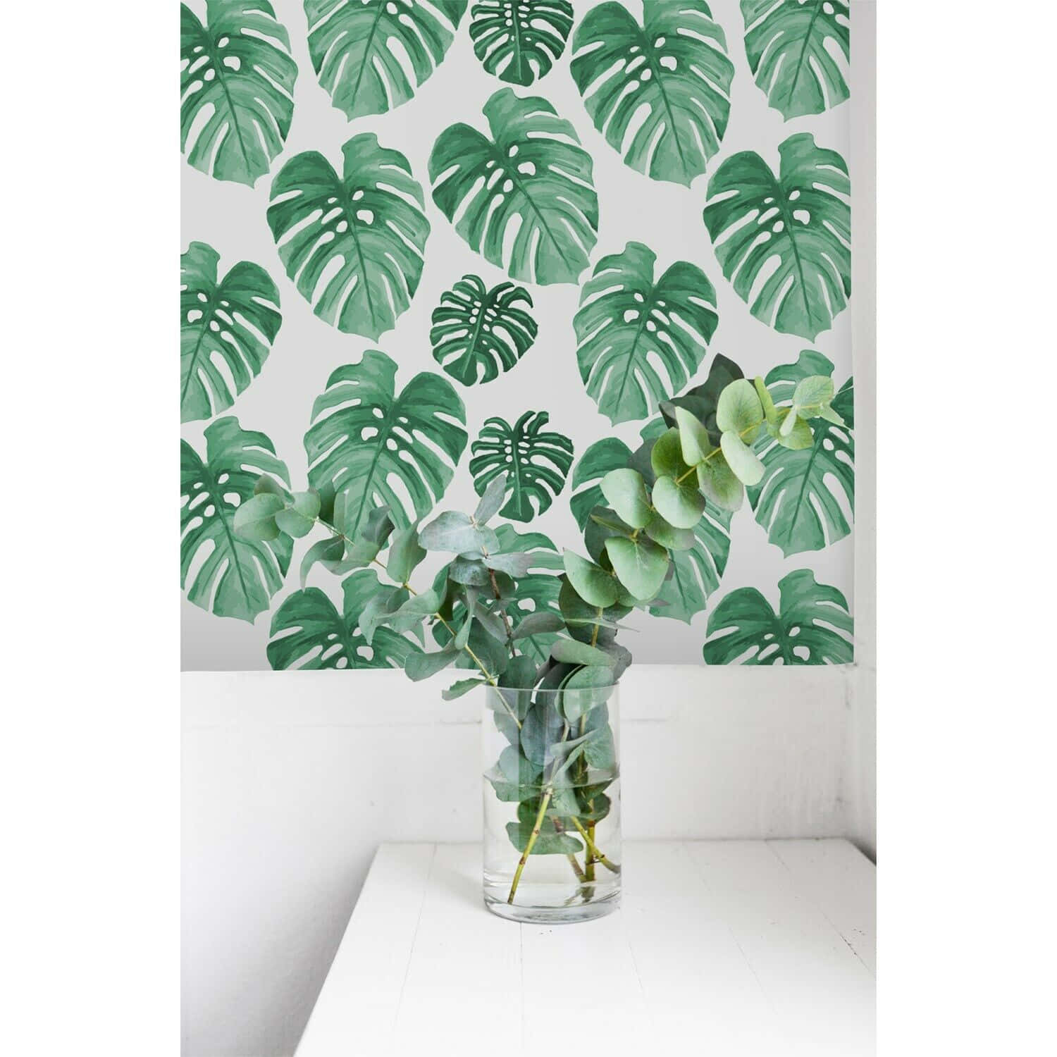 Caption: Underneath the Majestic Monstera: Embracing the Lush Leaf Patterns Wallpaper