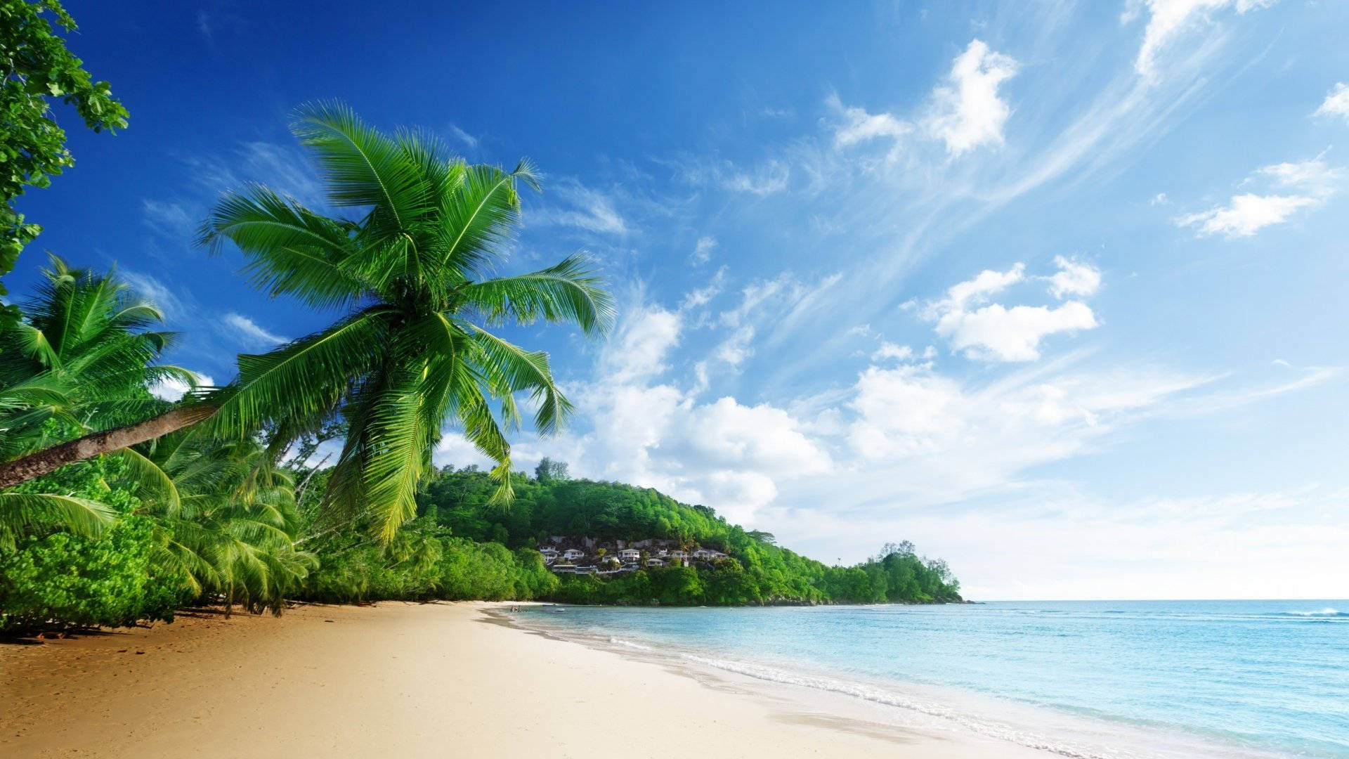 Tropical Natural Beach Scenery Wallpaper