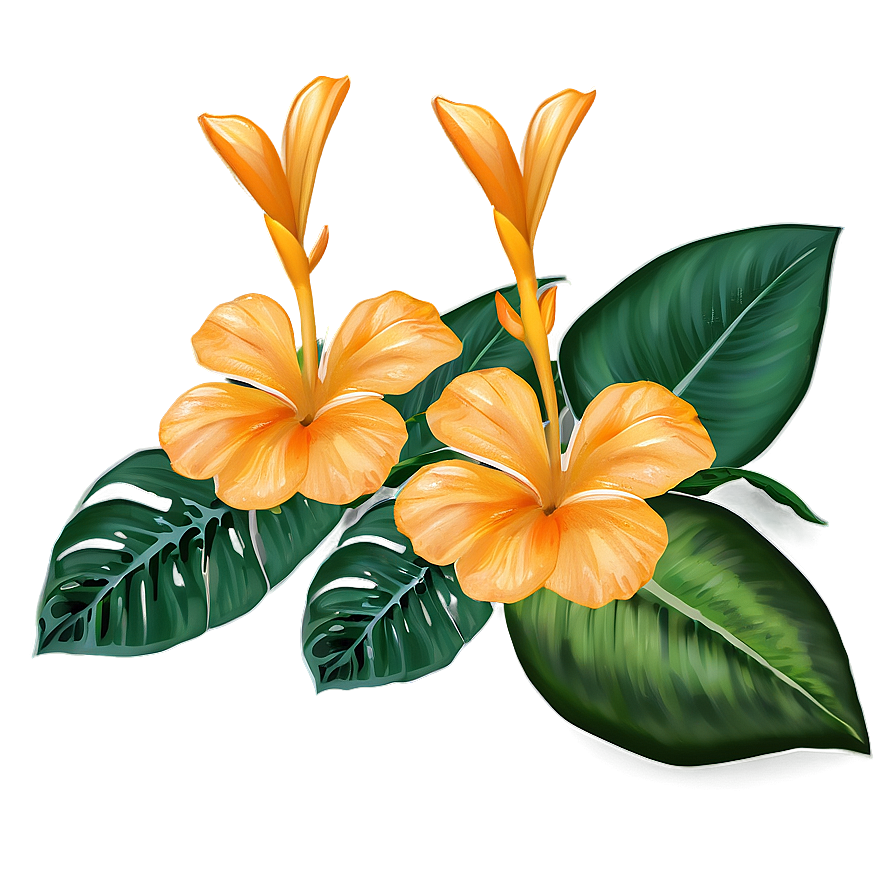 Tropical Orange Flower Png 50 PNG