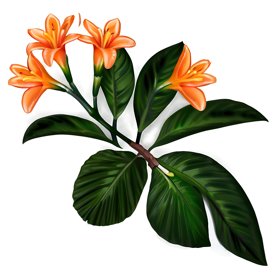 Tropical Orange Flower Png Fma PNG