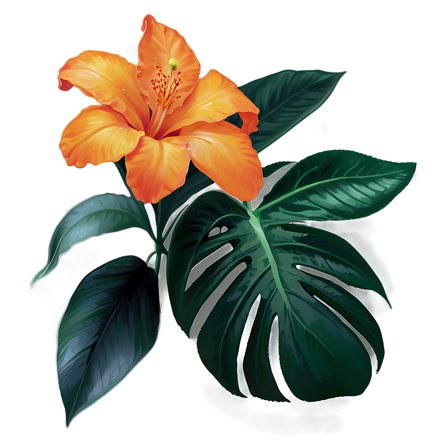 Tropical Orange Flower Png Lsy38 PNG