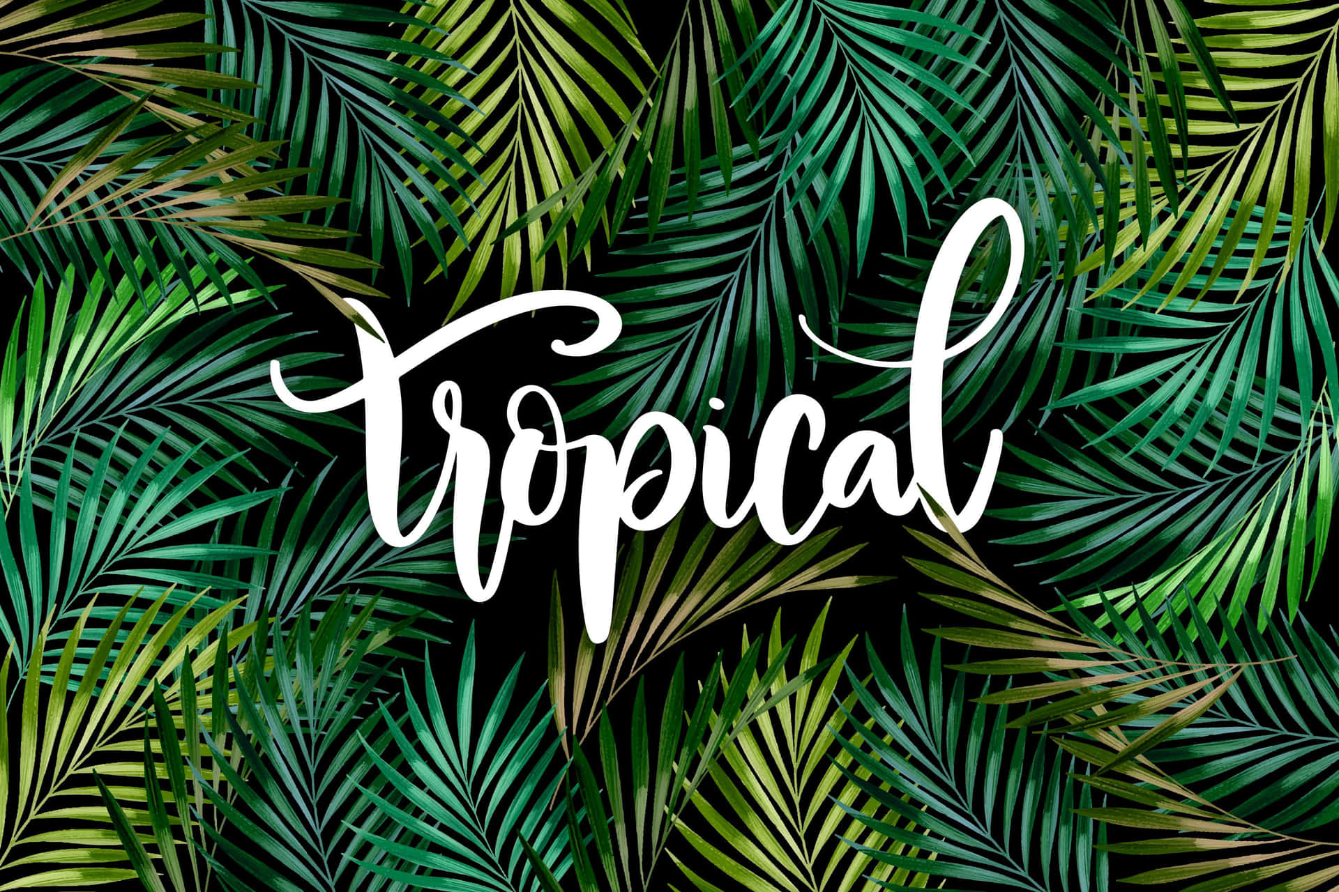 Tropical Palm Frond Pattern Wallpaper