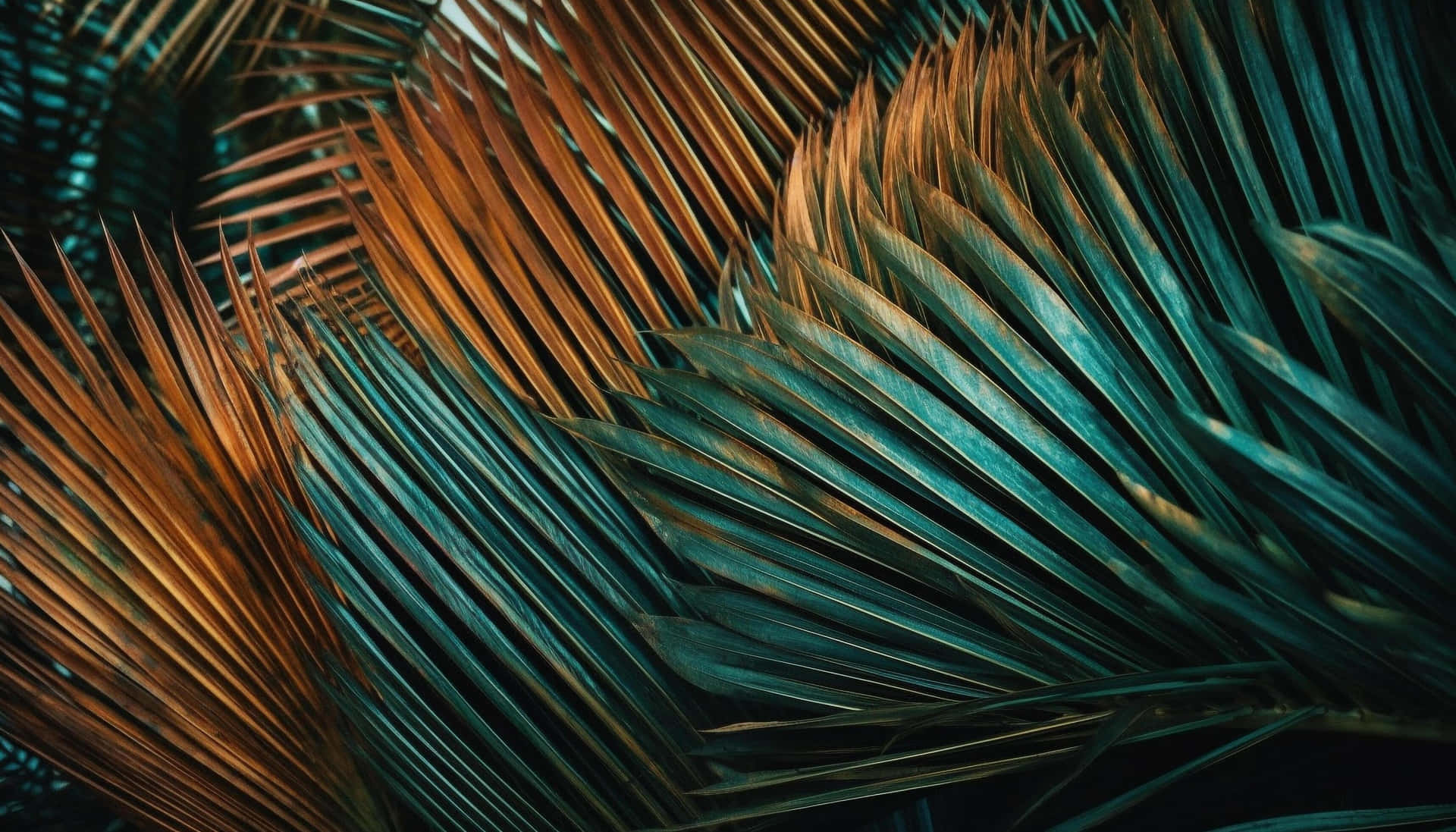 Tropical Palm Frond Texture Wallpaper
