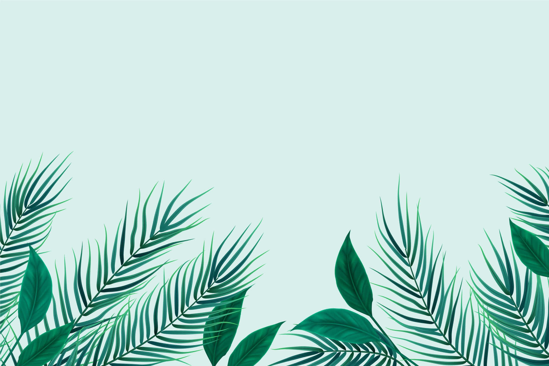 Tropical Palm Fronds Background Wallpaper