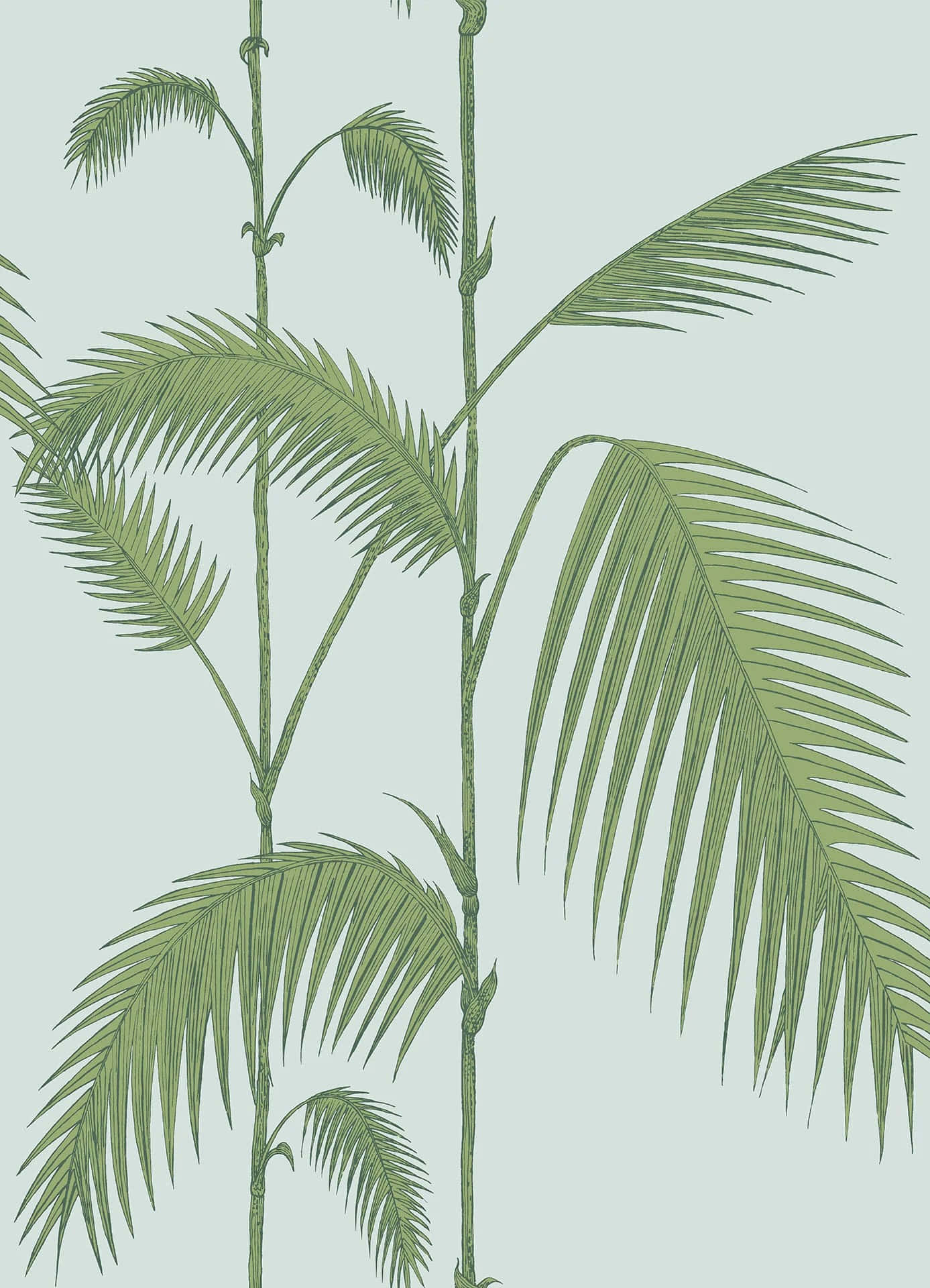 Tropical Palm Fronds Illustration Wallpaper