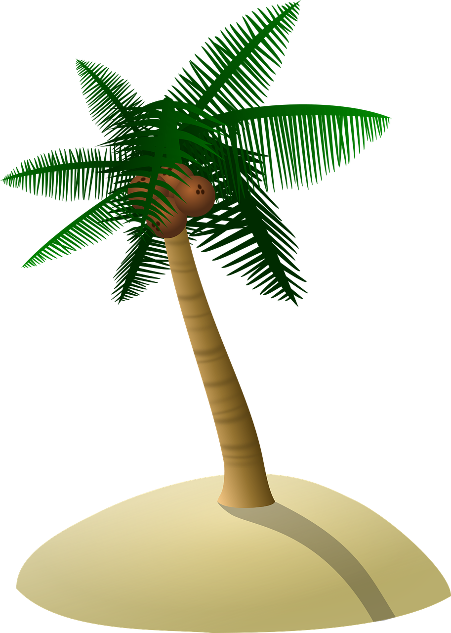 Tropical Palm Island Illustration PNG