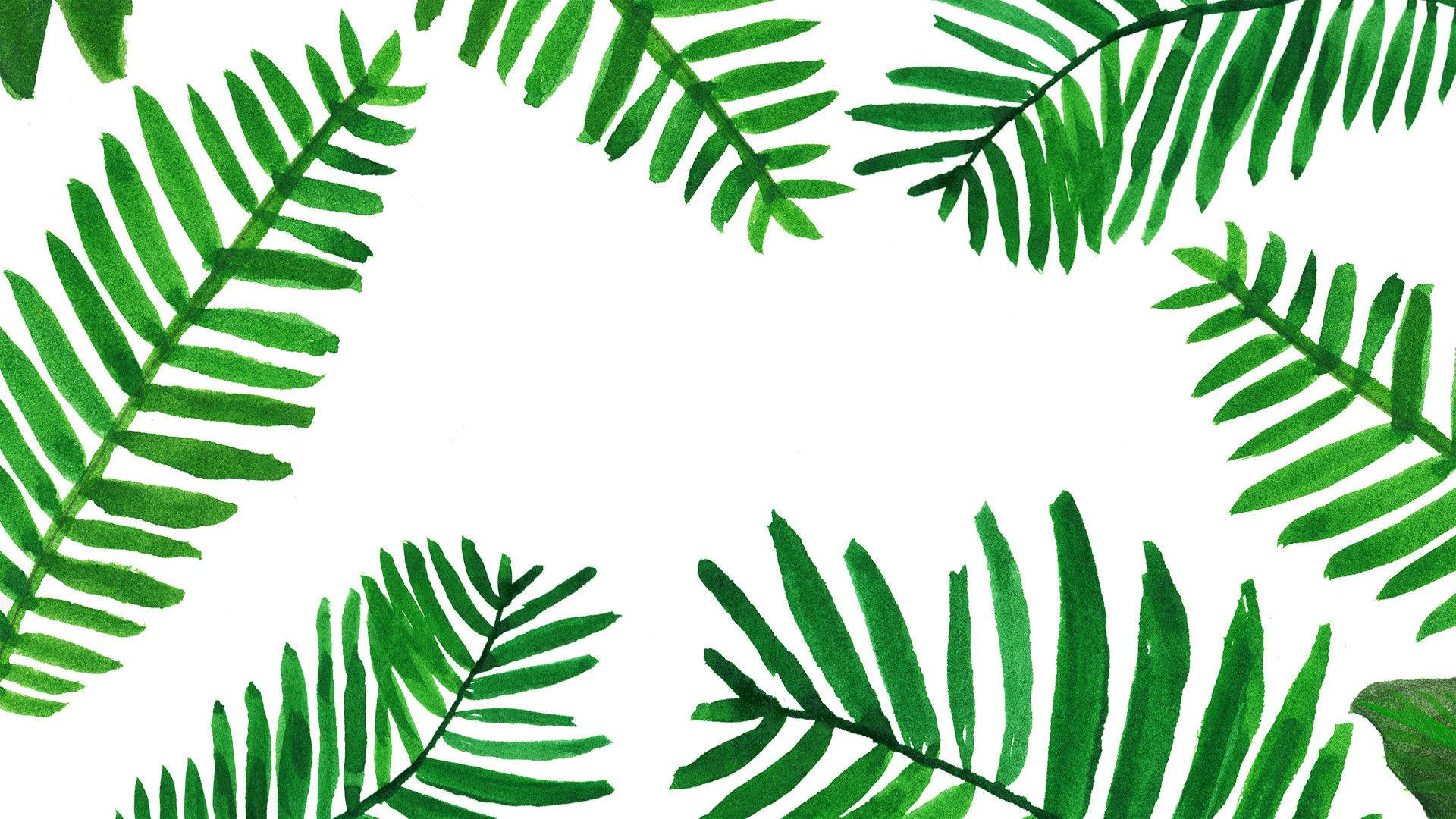 Tropical Palm Leaf Wallpaper