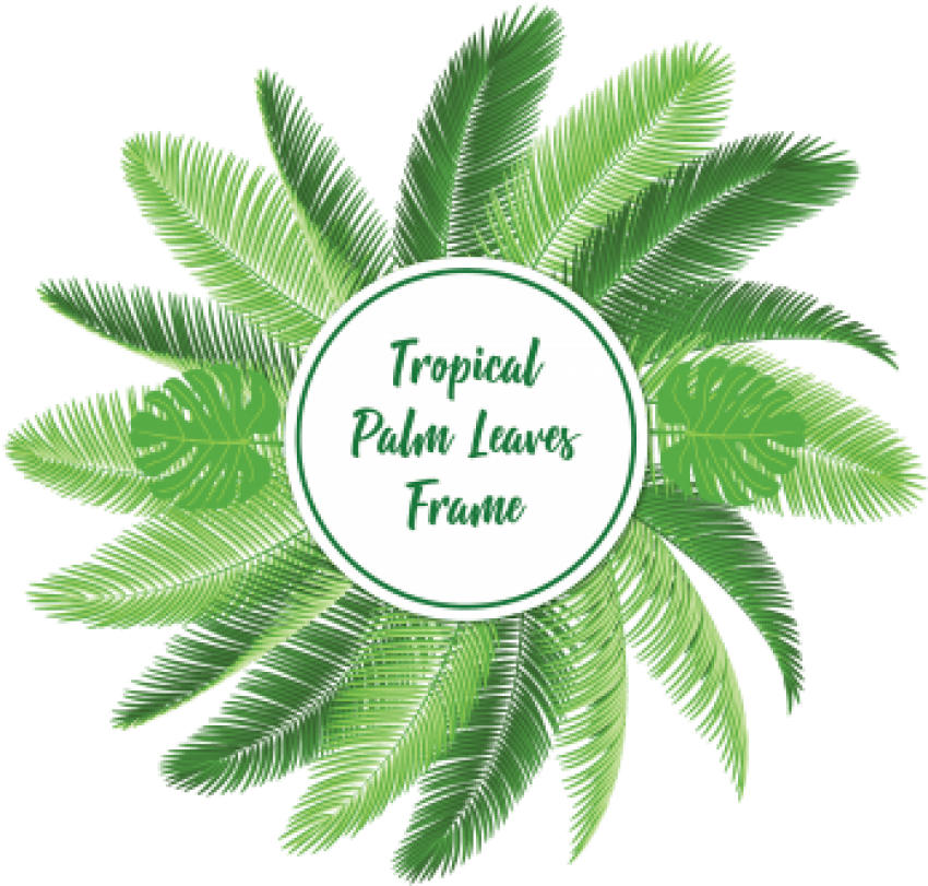 Tropical Palm Leaves Frame Graphic PNG