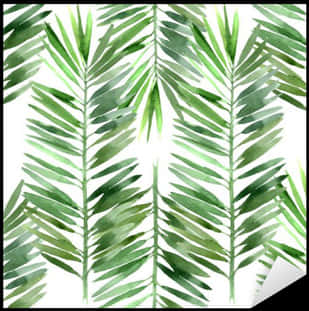 Tropical Palm Leaves Pattern PNG