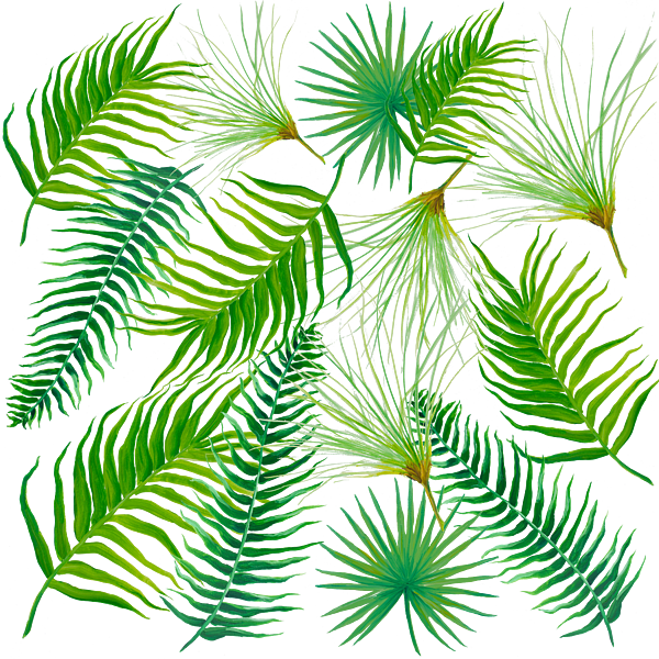 Tropical Palm Leaves Pattern PNG