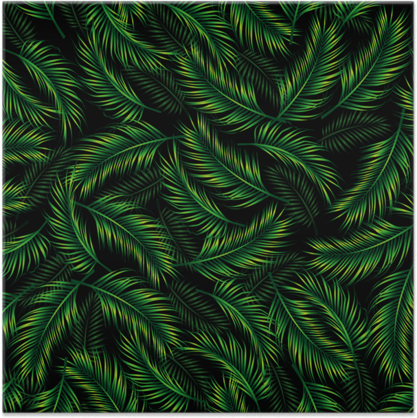 Tropical Palm Leaves Pattern PNG