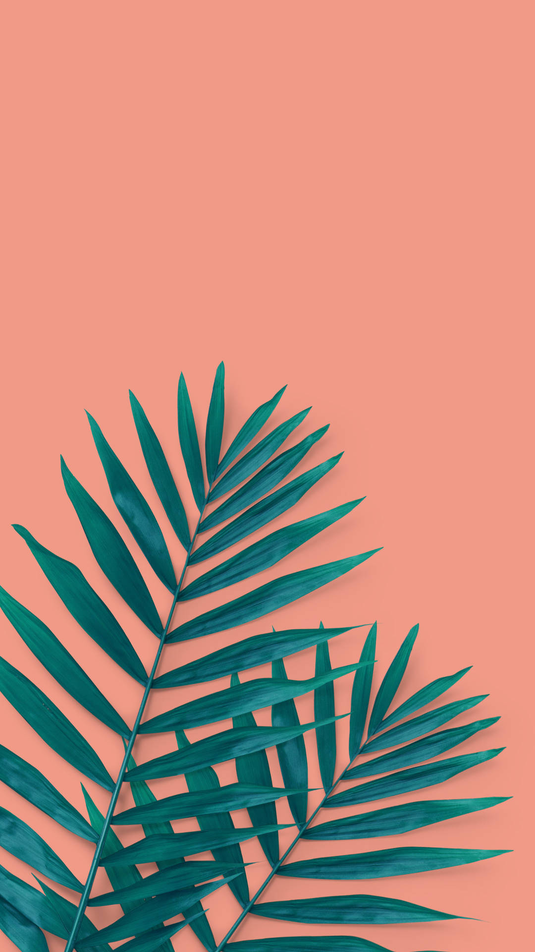 Tropical for iPhone Whatsapp background iphone summer Tropical  Aesthetic Tropical HD phone wallpaper  Pxfuel