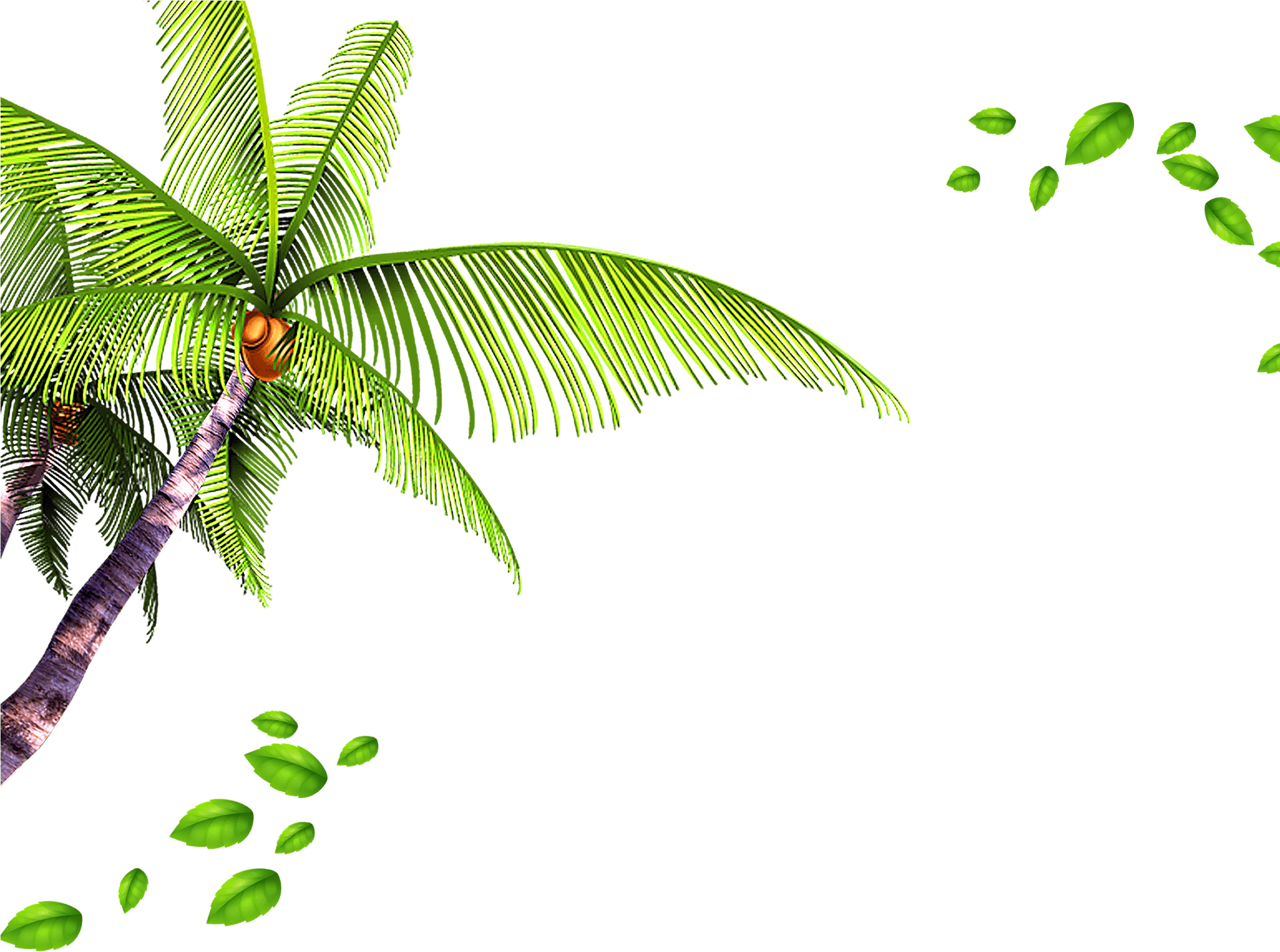 Tropical Palm Leaves Transparent Background PNG