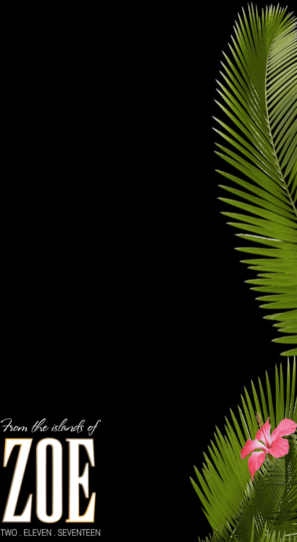 Tropical Palm Leavesand Flower Graphic PNG