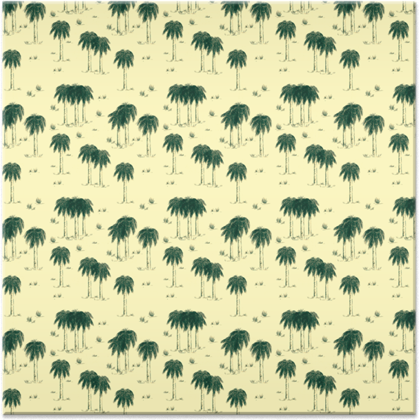 Tropical Palm Pattern Background PNG
