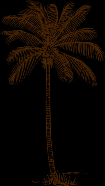 Tropical Palm Silhouette PNG