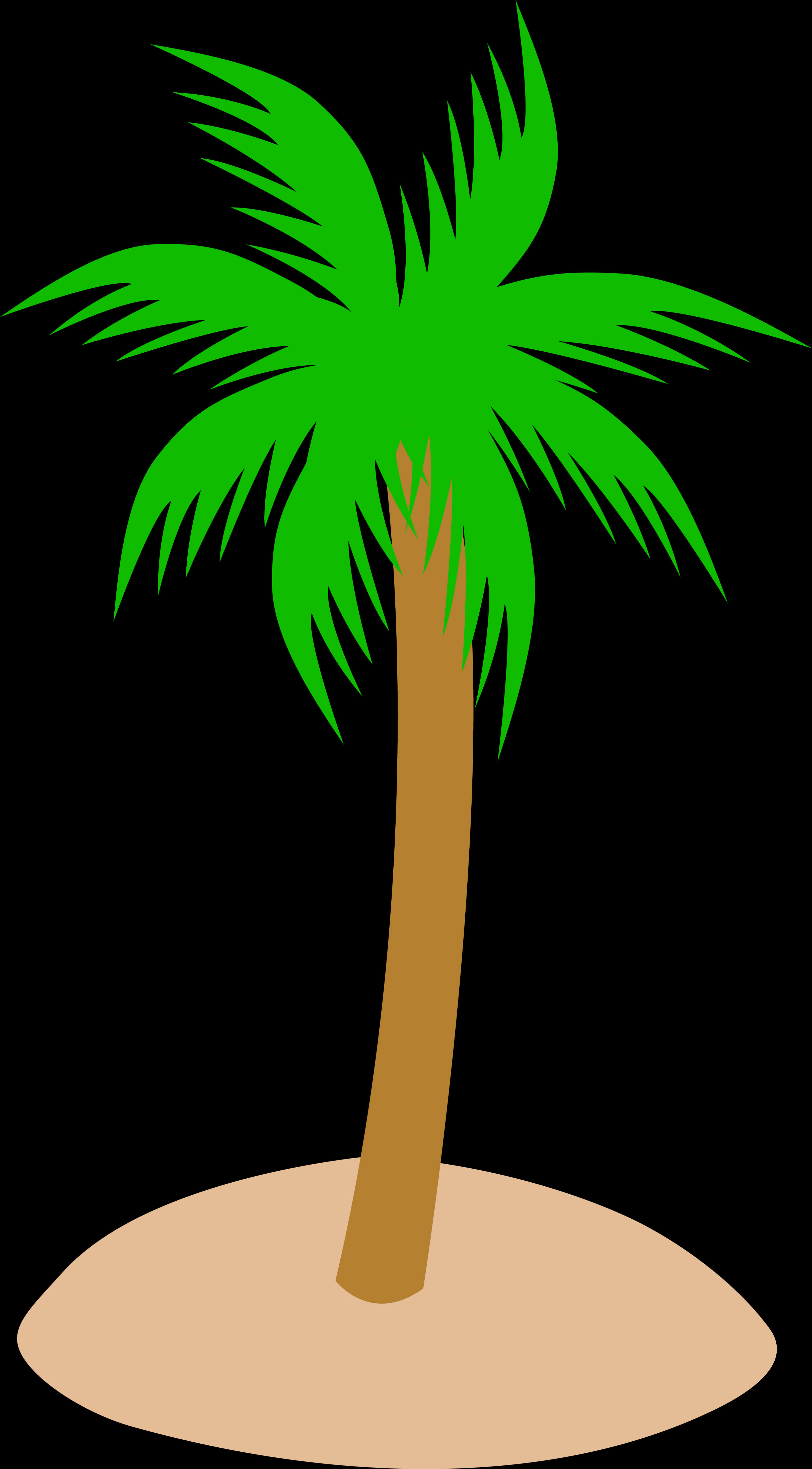 Tropical Palm Tree Graphic PNG