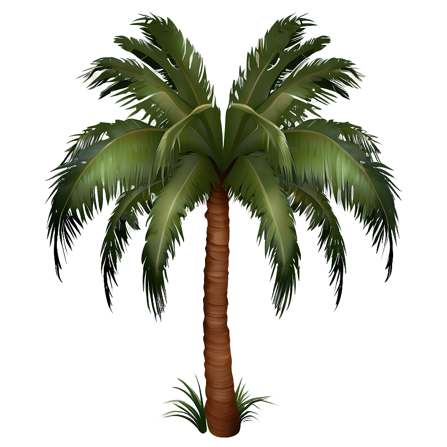 Tropical Palm Tree Png 04292024 PNG