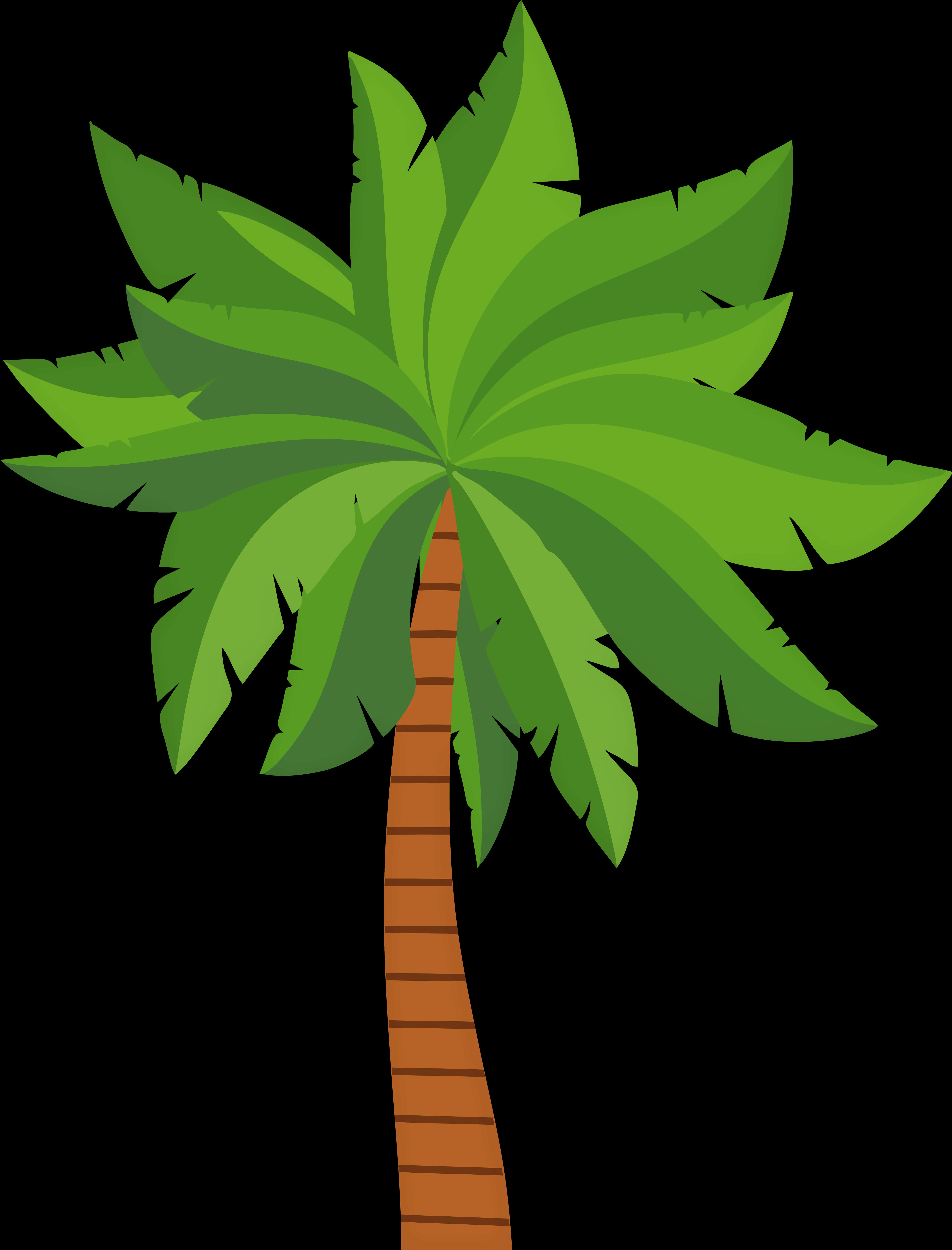 Tropical Palm Tree Vector PNG