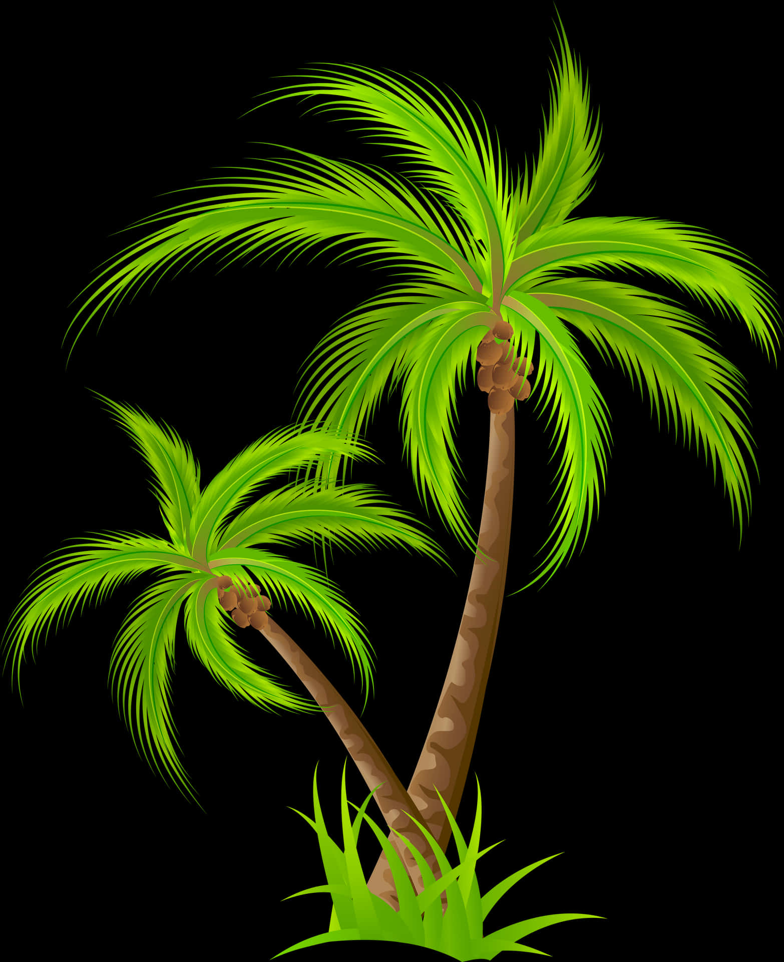 Tropical Palm Trees Illustration PNG