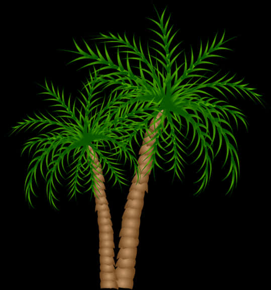 Tropical Palm Trees Illustration PNG