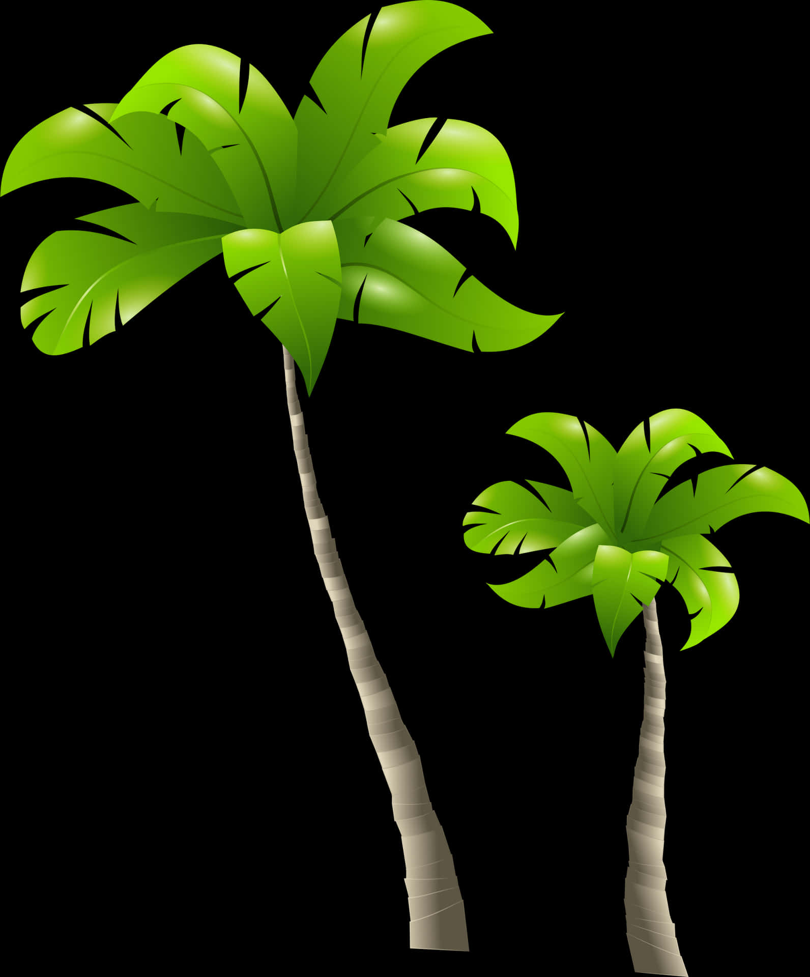 Tropical Palm Trees Illustration PNG