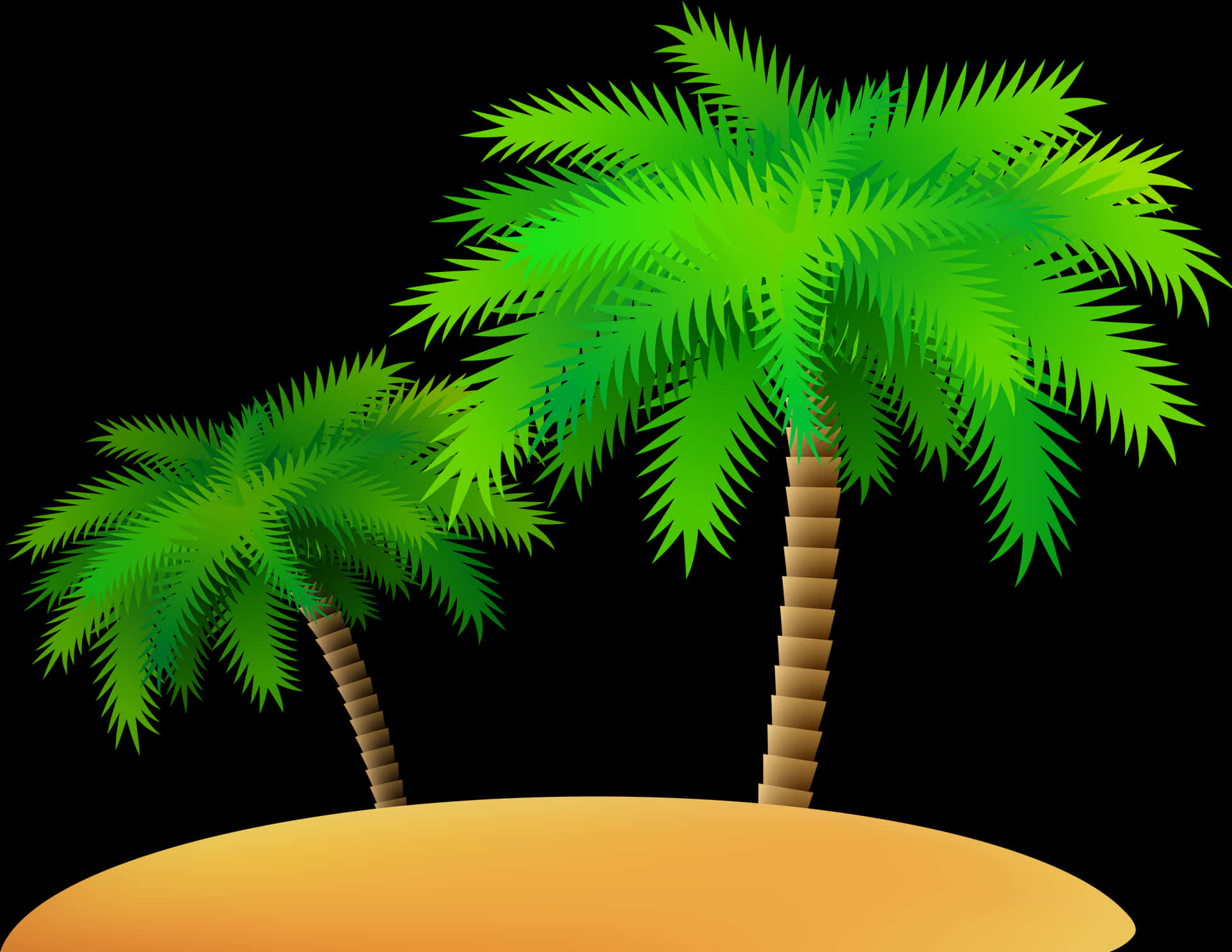 Tropical Palm Trees Island Illustration PNG