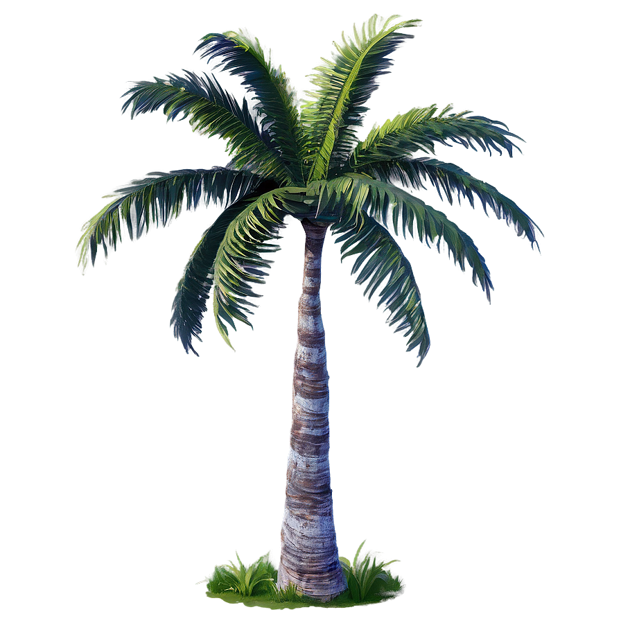 Tropical Palm Trees Png 05042024 PNG
