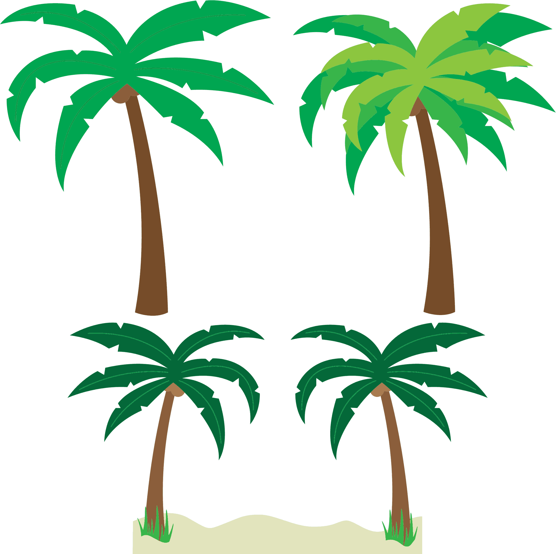 Tropical Palm Trees Vector PNG