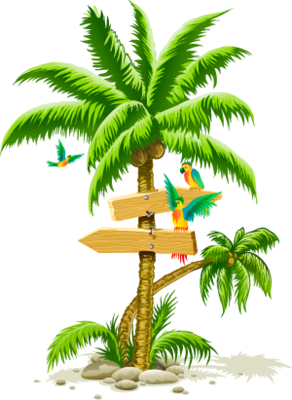 Tropical Palm Treewith Directional Signsand Parrots PNG