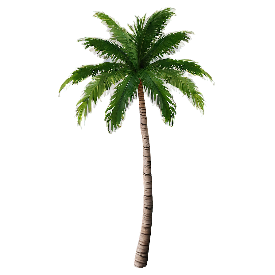 Tropical Palms Png 06112024 PNG