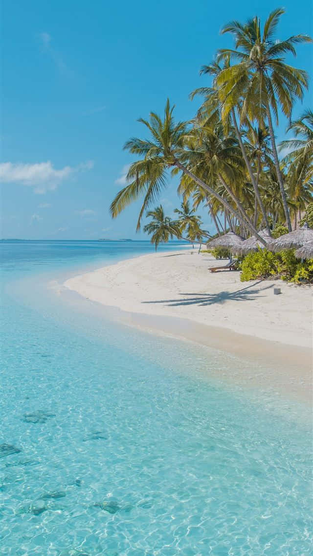 Tropical Paradise Beach Wallpaper