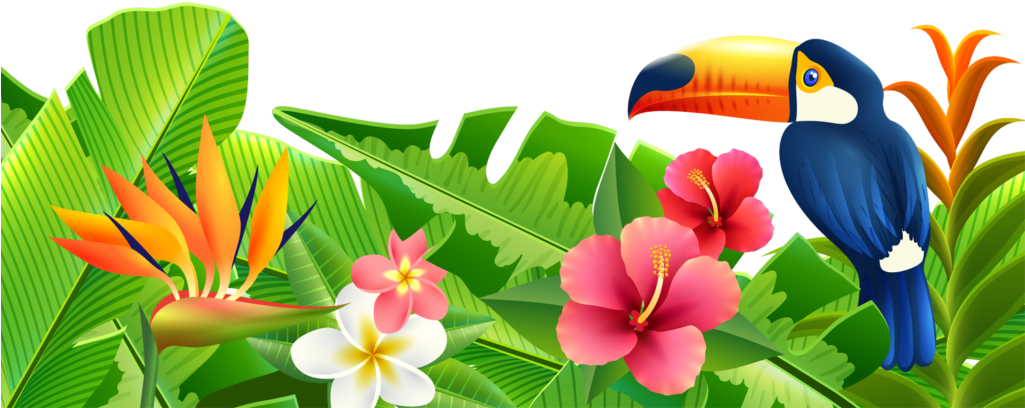 Tropical Paradise Summer Scene PNG