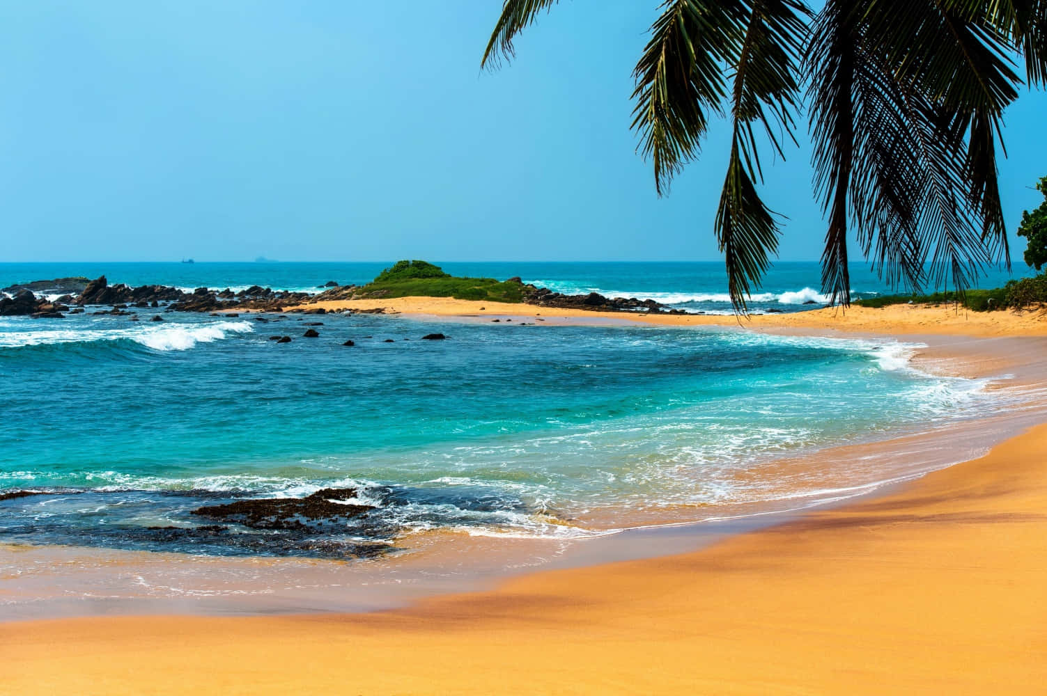 "A paradise tropical beach under blue skies"