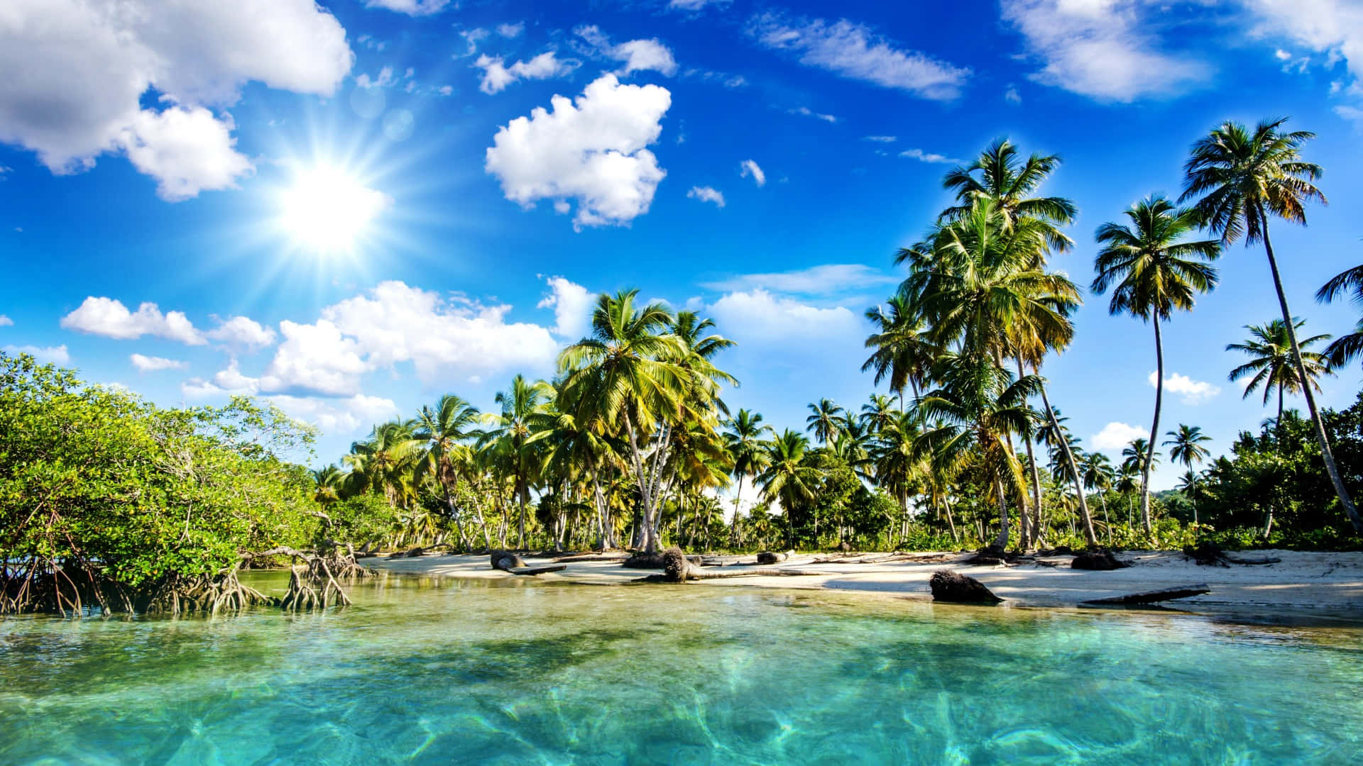 A Tropical Beach With Palm Trees And Clear Water