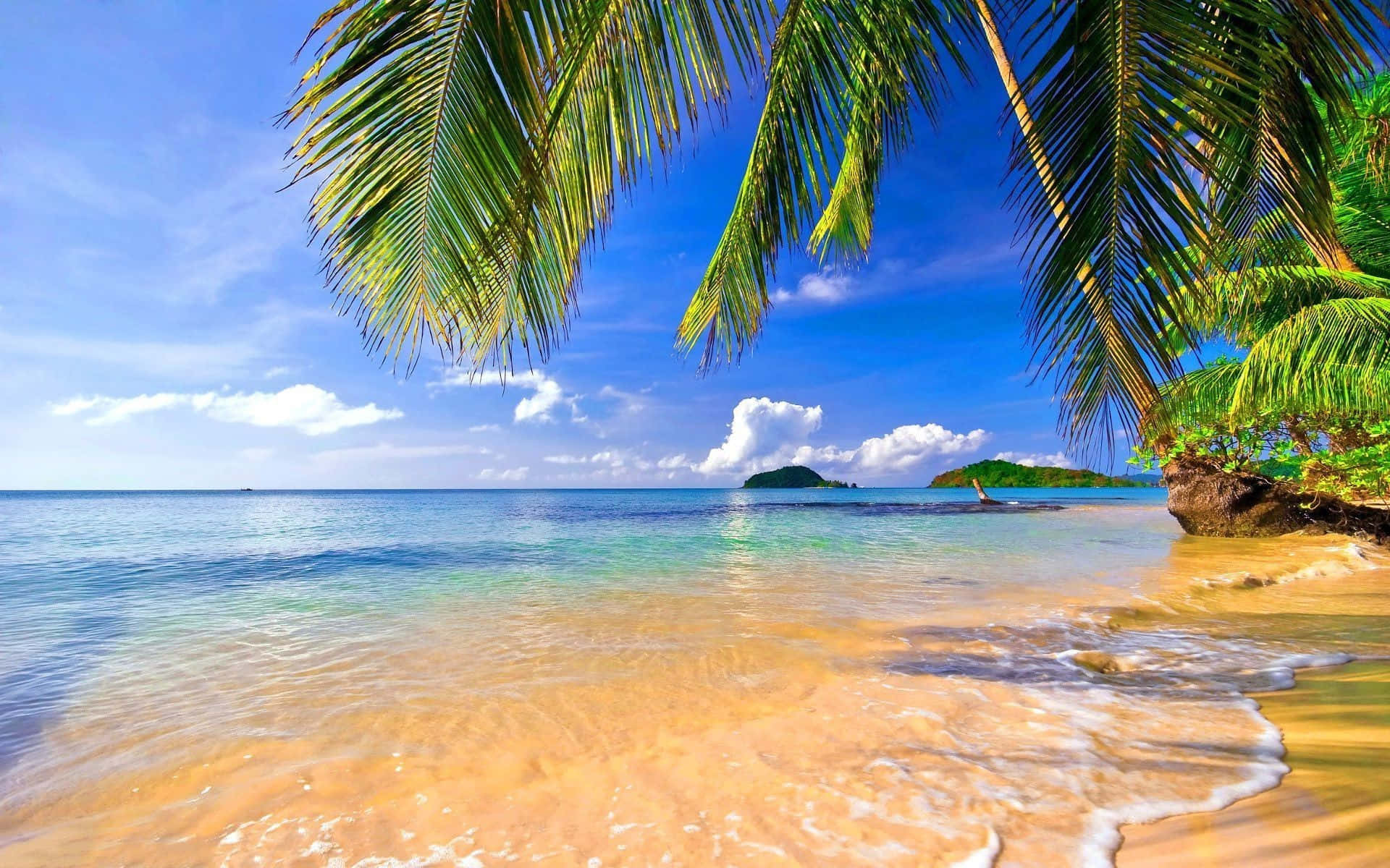 Entspannensie Sich Und Genießen Sie Einen Tropischen Urlaub