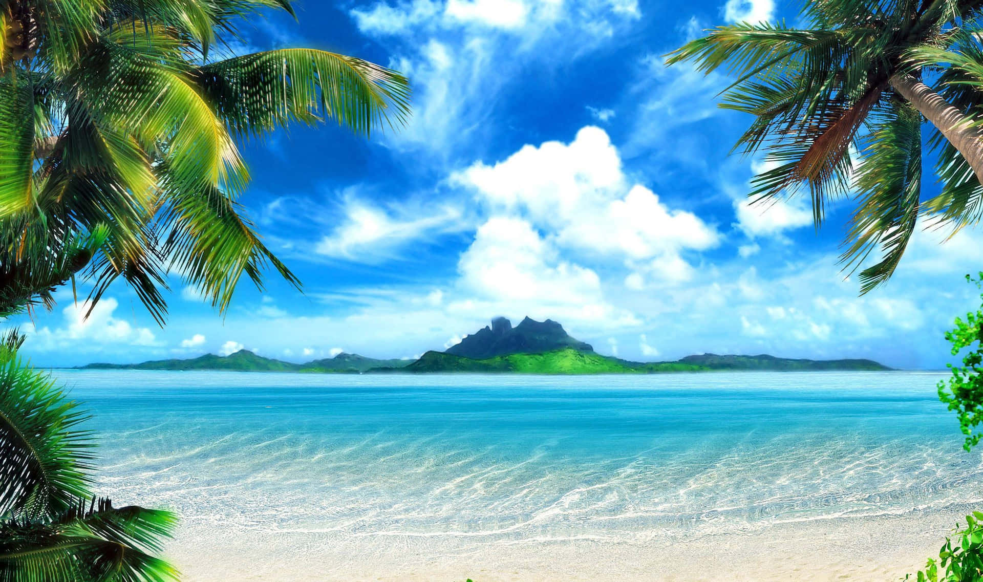 A Tropical Beach With Palm Trees And Blue Water