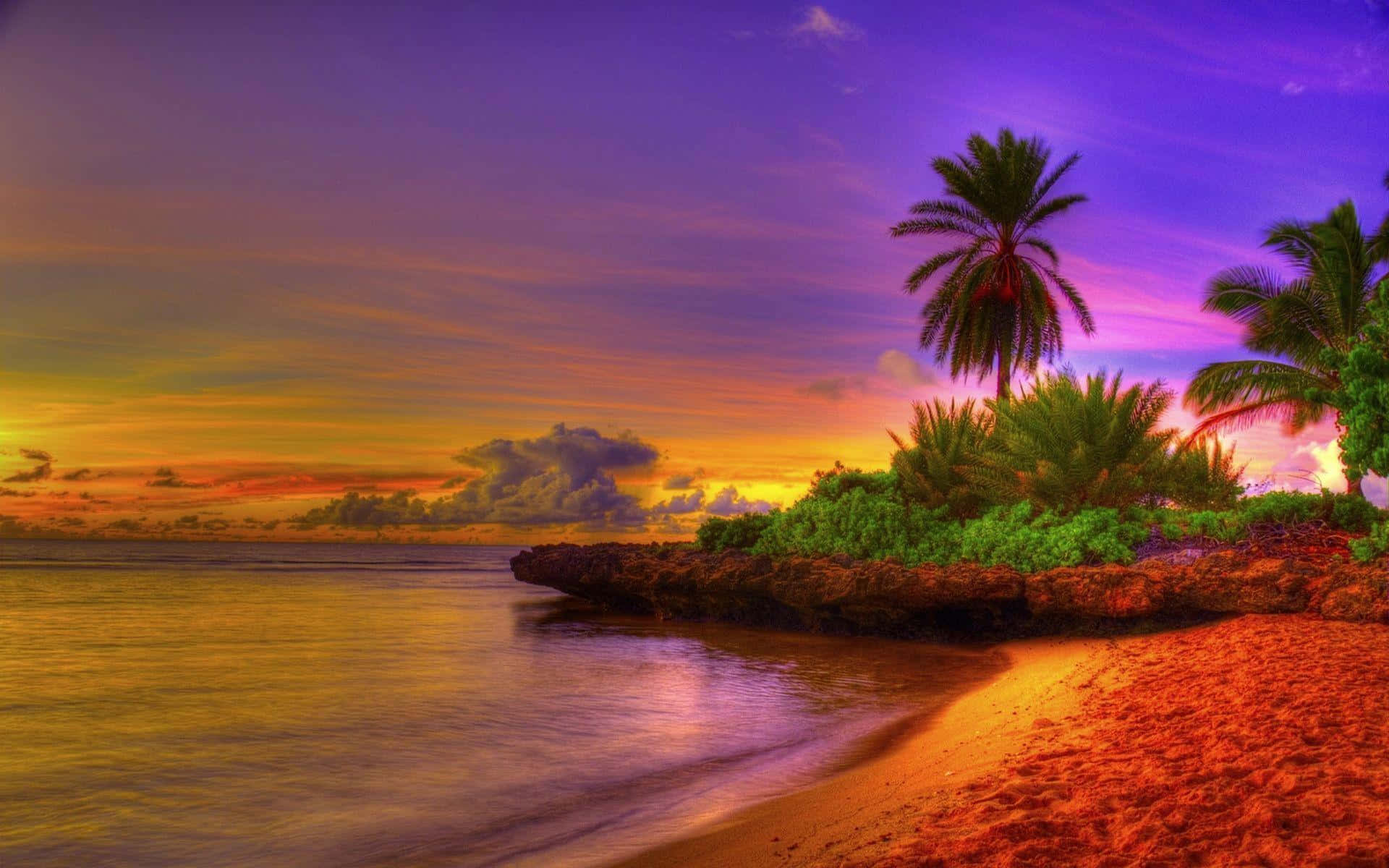 A Colorful Sunset On A Beach With Palm Trees