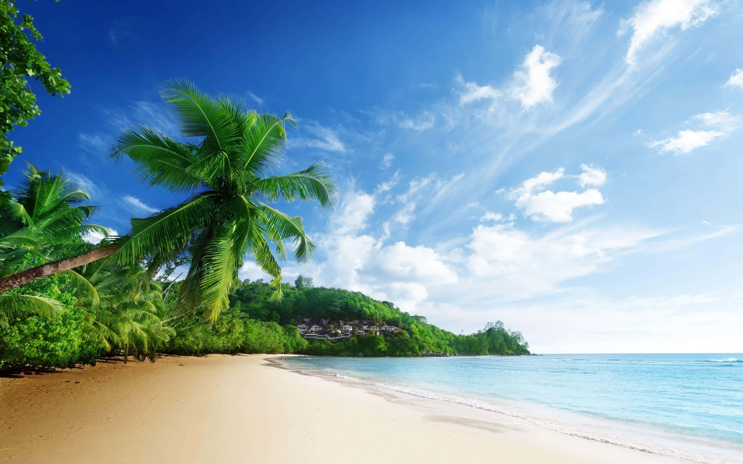 Etsmukt Luftfoto Af En Tropisk Strand, Der Strækker Sig Ud Mod Horisonten.