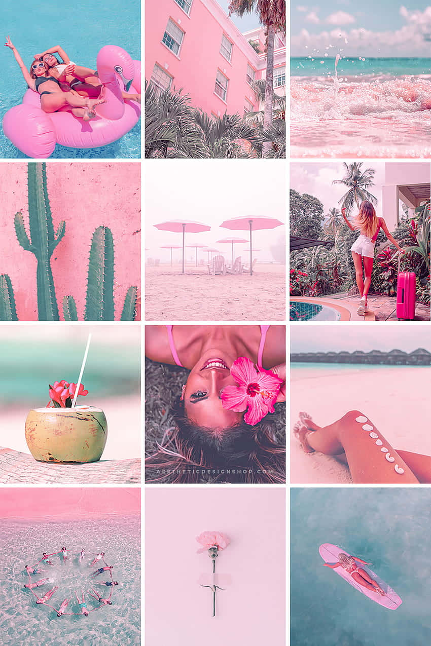 Tropical Pink Aesthetic Collage Wallpaper